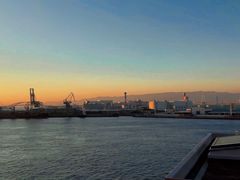 -大阪海游馆