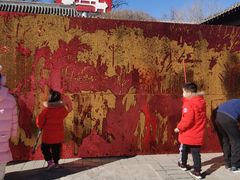 -阳台山自然风景区