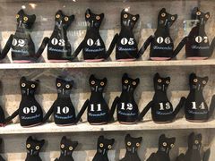 -猫咪博物馆(顶澳仔猫街店)