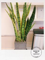 点击看大图 -锦尚名仕Hair Salon