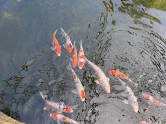 -灵玲国际马戏城