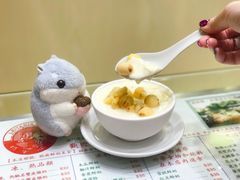 -义顺牛奶公司(新马路老店)