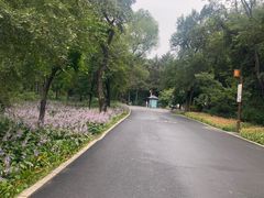 -长春市南湖公园