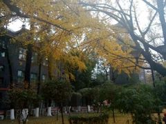 -四川大学(华西校区)