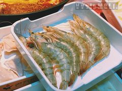 涮虾-老天桥蛙炉火锅(姑苏总店)