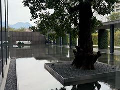 行政楼走廊-深圳大梅沙京基洲际度假酒店