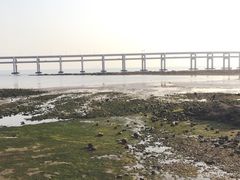 -黑石礁公园