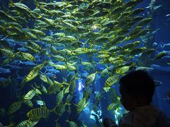 -南昌融创海世界