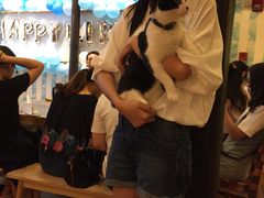 -猫的天空之城概念书店(杭州南宋御街店)