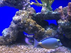 -洛阳龙门海洋馆