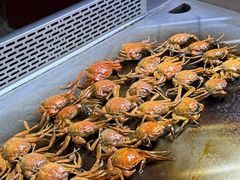 -东方华地城湿地温泉度假区