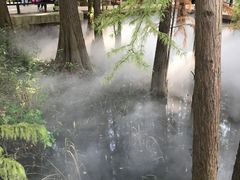 -东湖落雁景区