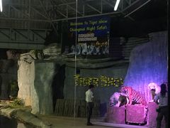 -清迈夜间动物园