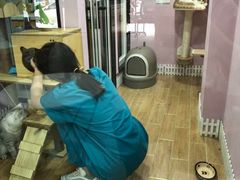 -联合动物医院(光谷诊疗中心)