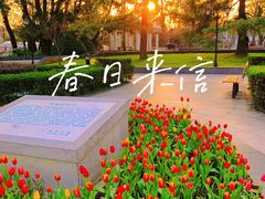 -苏州公园(双塔街道)