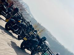 -北马山庄植趣咖啡