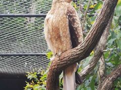 -费瑟代尔野生动物园