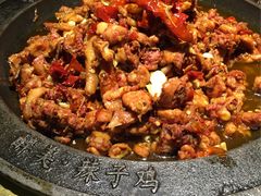 -天山醉美辣子鸡(文艺路店)