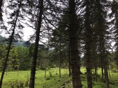 -硗碛藏寨·神木垒景区