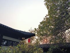 -天津水上公园