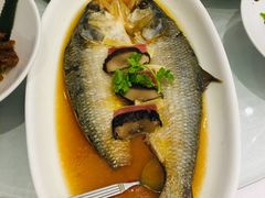 -骏莱海鲜鱼港(五角场店)