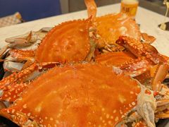 -半岛听涛蒸汽海鲜自助(K11店)