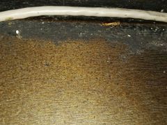 -江湖国风民谣酒馆(五一街店)