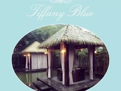 -梧桐花园餐厅(新城店)