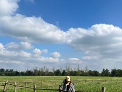 -汉长安城未央宫国家考古遗址公园