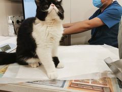 -萌兽医馆·犬猫专科·眼科中心·宠物医院(朝阳门分院)