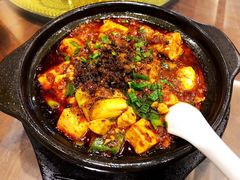-陈麻婆豆腐总店
