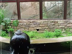 -Local泰莲庭(虹鳟鱼店)