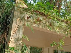 -华南国家植物园-售票处