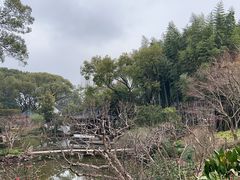 -汇龙潭