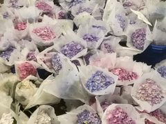 -三圣花乡旅游区