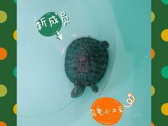 -龙湖西安曲江天街
