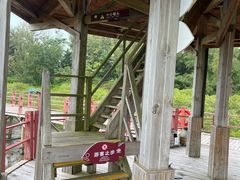 -北海金海湾红树林生态旅游区