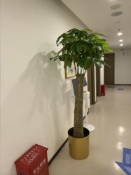 -丰联丽格医疗美容·联合丽格眼整形中心