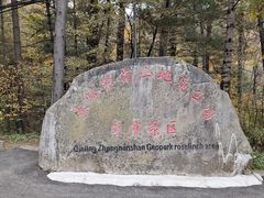 -朱雀国家森林公园