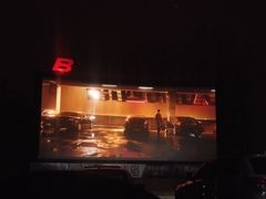 -枫花园汽车电影院(朝阳公园店)