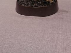 -龙宴海鲜城(经中路店)