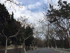 -八大关景区
