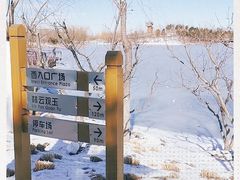 -东郊湿地公园