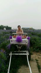 点击看大图 -完美新娘婚纱摄影