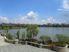 -美的鹭湖森林度假区