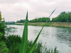-滨河世纪广场公园