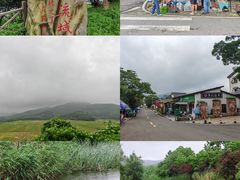-石塘人家