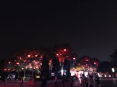 -大雁塔北广场音乐喷泉