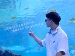 -重庆欢乐海底世界