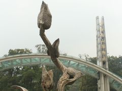 -南山植物园